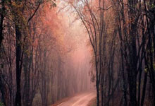 退役定格下賽季終!博努奇宣布:決定2024年6月後退役.