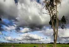 fun88乐天堂官方网站:阿紮爾:我的腿筋出了問題 不知道還能不能踢歐洲杯.