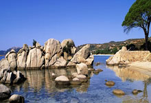 [最佳评选]JackeyLove伤害拉满，Creme二连MVP，谁是今日最佳？19亮46回复.